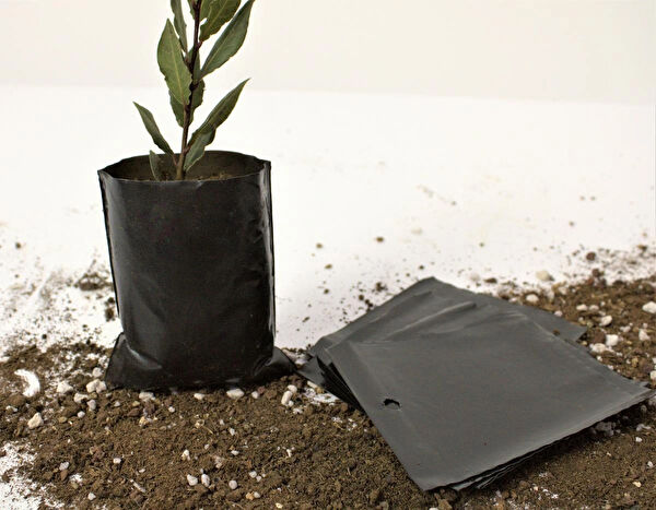 Ekodoğa Bitki Yetiştirme Kiti