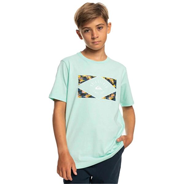 Quiksilver Erkek Tişört