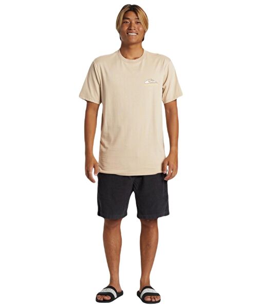 Quiksilver Erkek Tişört