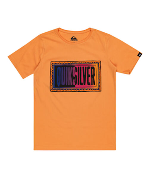 Quiksilver Erkek Tişört