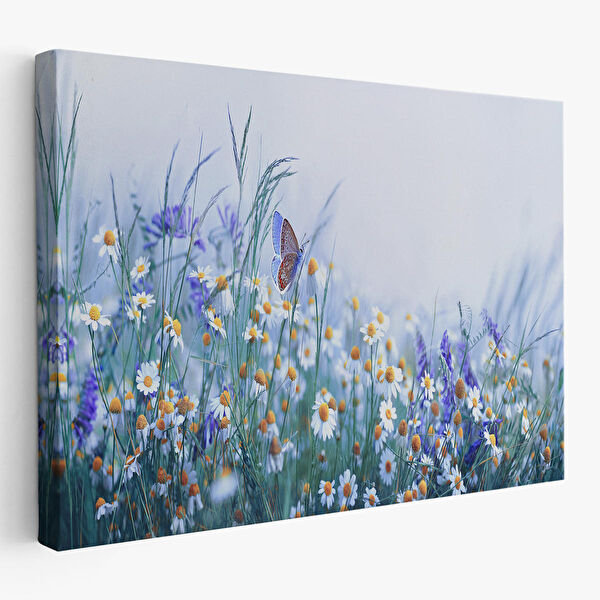 Harita Sepeti Kanvas Tablo