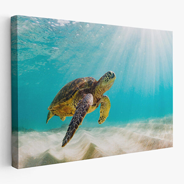 Harita Sepeti Kanvas Tablo