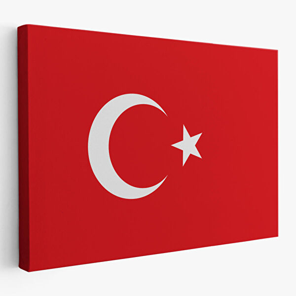 Harita Sepeti Kanvas Tablo