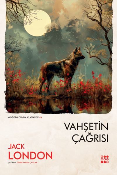 Dokuz Yayınları Roman Kitapları