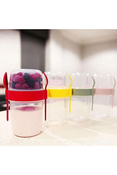 Royaleks Saklama Kabı