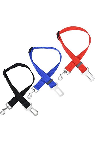 Baffhome Köpek Tasmaları