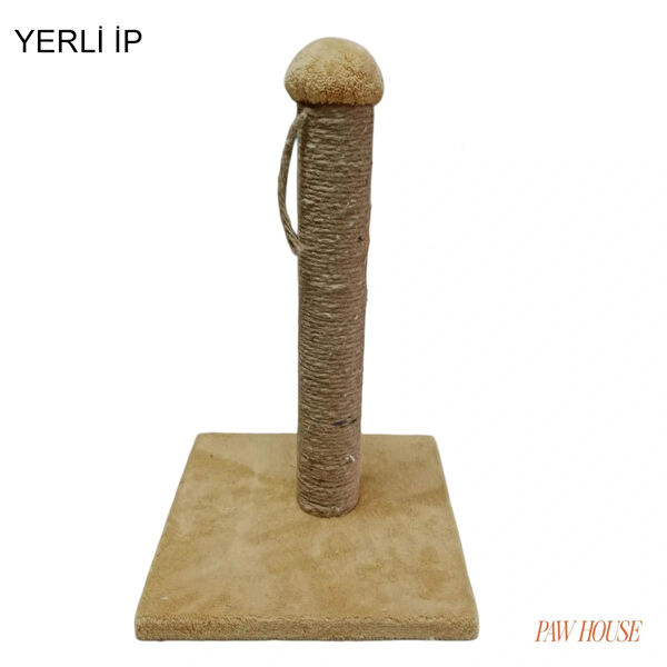 PAWHOUSE Kedi Tırmalama