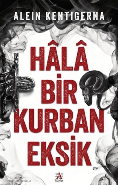 Panama Yayıncılık Roman Kitapları
