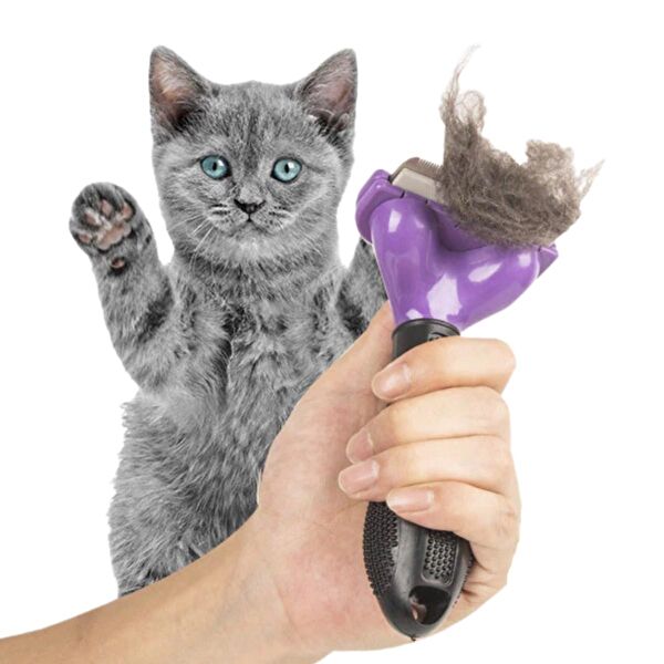 Go İthalat Kedi Tarak, Fırça, Makas