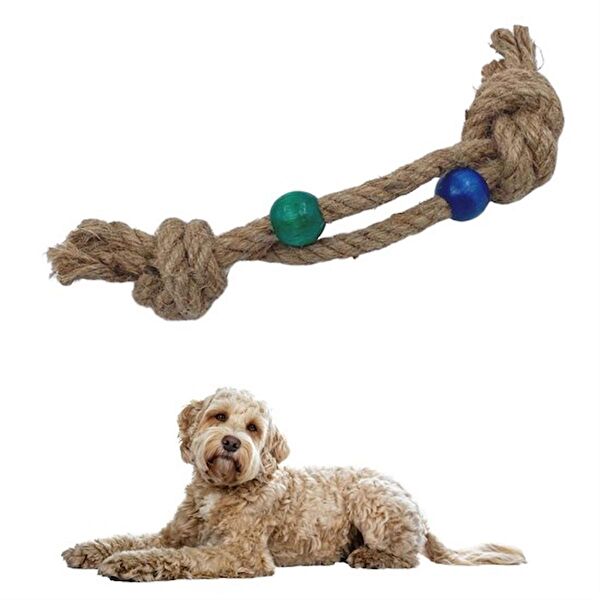 Go İthalat Köpek Oyuncakları