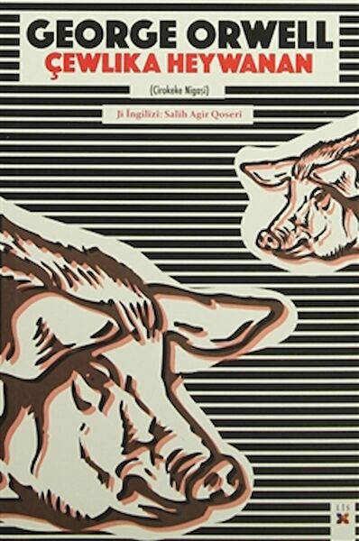 Lis Basın Yayın Roman