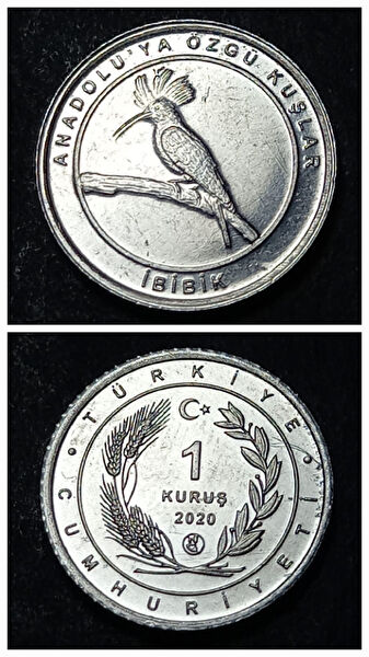 Koleksiyon Koleksiyoner ürünleri