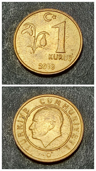 Koleksiyon Koleksiyoner ürünleri