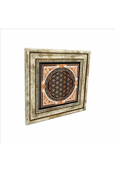 Baksepete Çerçeveli Tablo