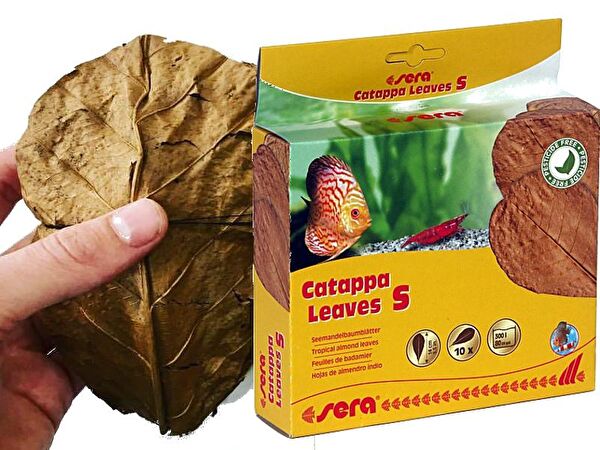 Sera Akvaryum Bakımı