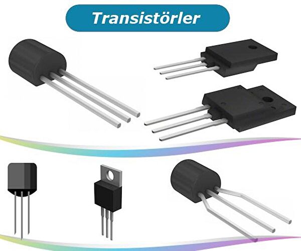 Polaxtor Araç Sigortaları