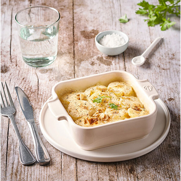 Peugeot Fırın Tepsisi, Borcam