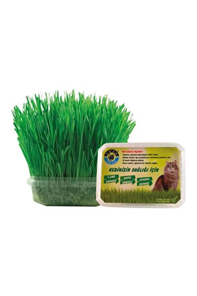 Amon Petshop Kedi Vitamini