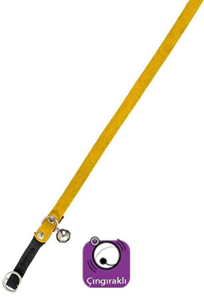 Karlie Kedi Tasmaları ve İsimlikler