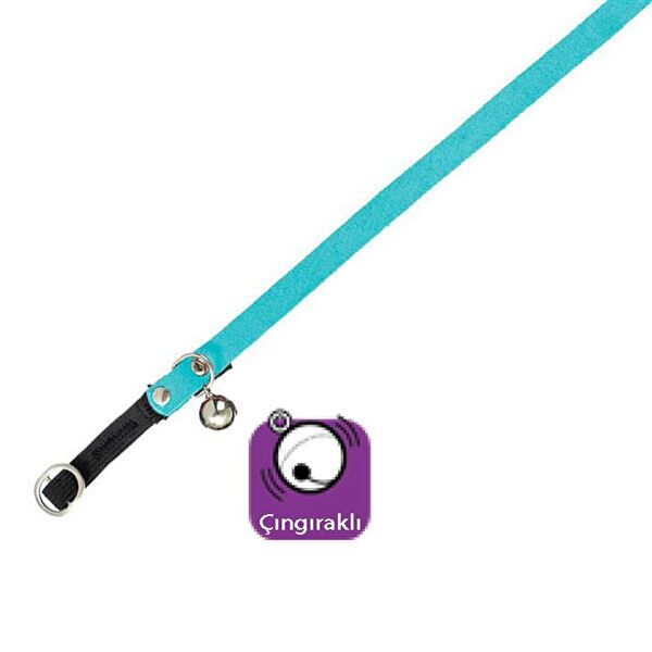 Karlie Kedi Tasmaları ve İsimlikler