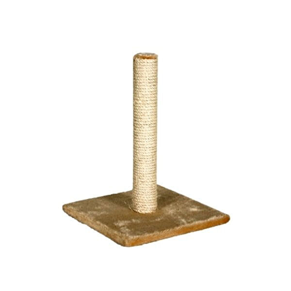 Karlie Kedi Tırmalama