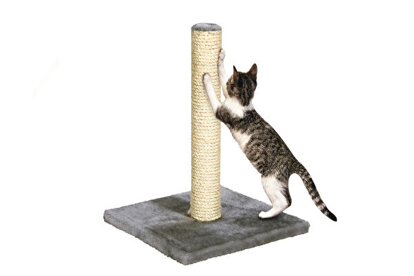 Karlie Kedi Tırmalama