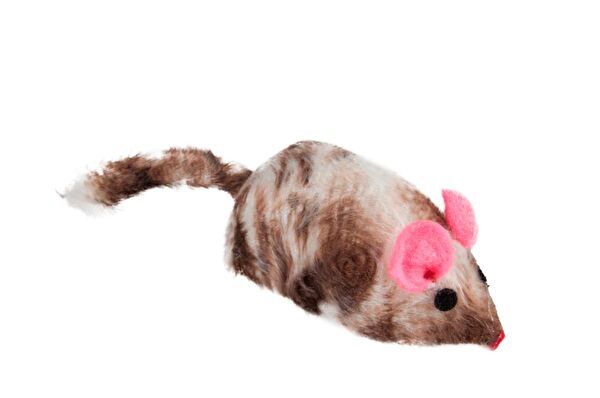 Himarry Kedi Oyuncakları