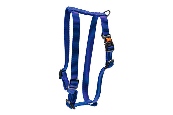 Karlie Köpek Tasmaları