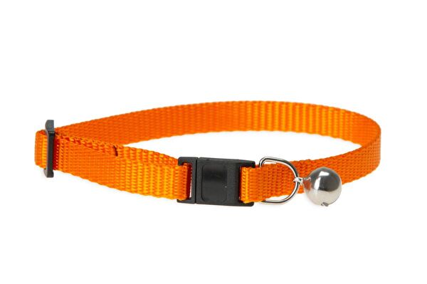 Karlie Kedi Tasmaları ve İsimlikler