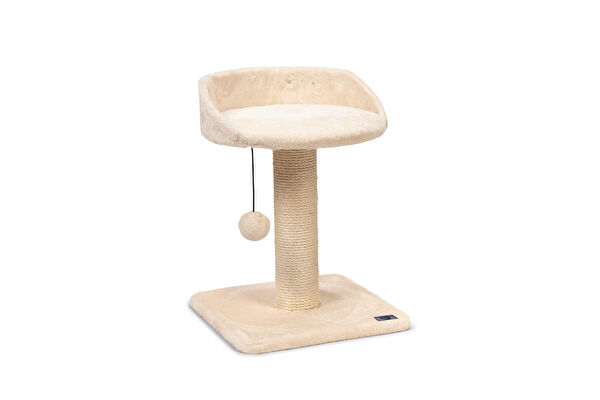 Karlie Kedi Tırmalama