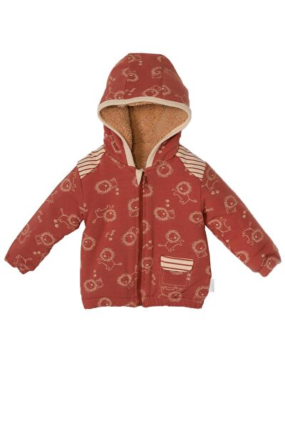 Andy Wawa Bebek Mont, Kaban