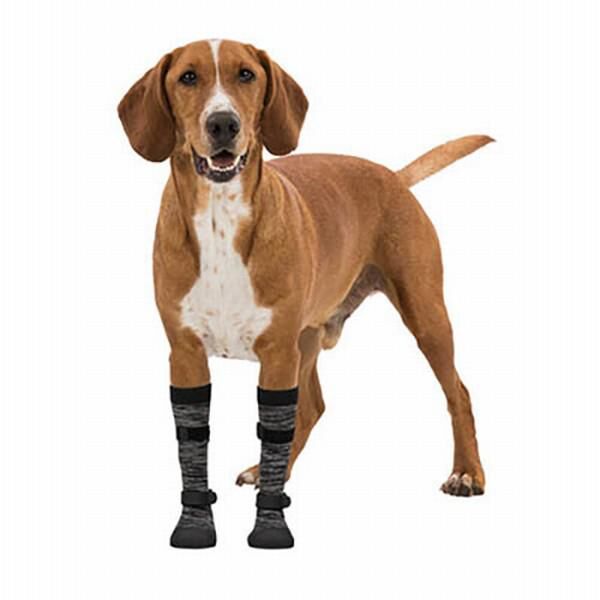 Trixie Köpek Elbisesi