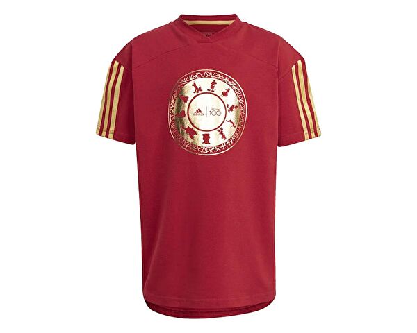 adidas Sporcu Tişört