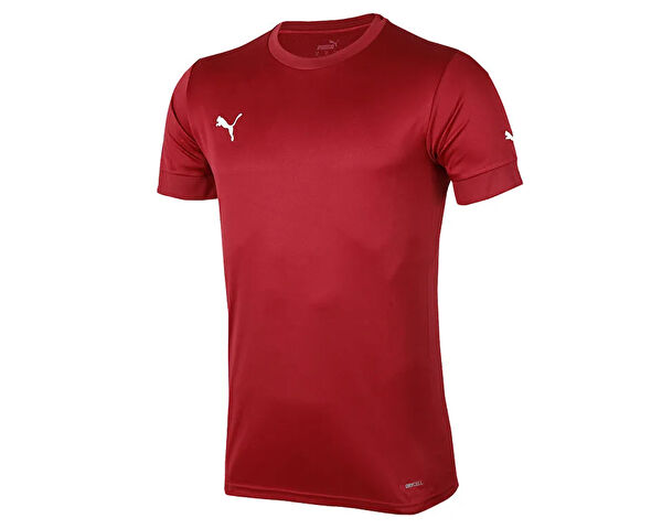 Puma Futbol Forma, Şort