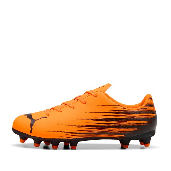Puma Krampon