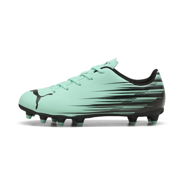 Puma Krampon