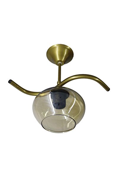 Mutu Ticaret Avize, Sarkıt