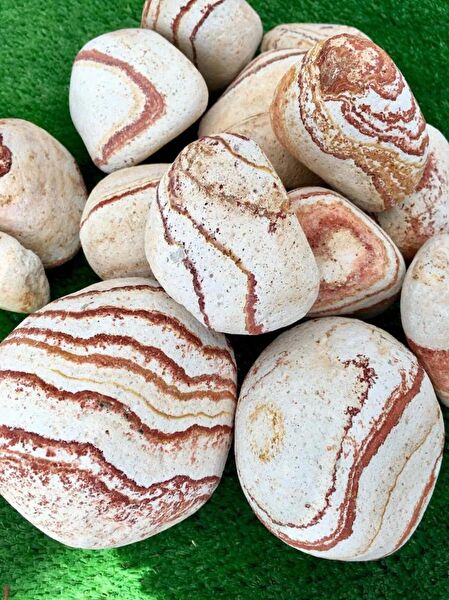 Asenya Bahçe Dekoratif Ürünleri