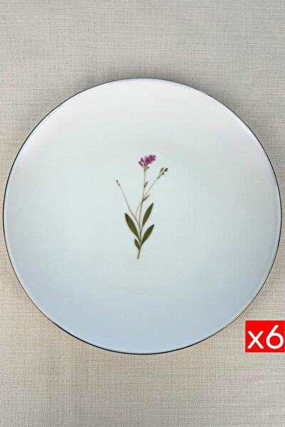 Tabak Evi Servis, Sunum Tabakları