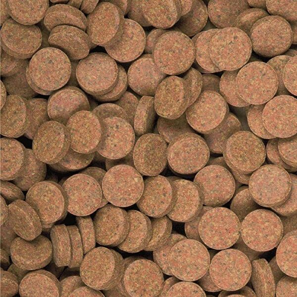 Tropical Balık Yemi