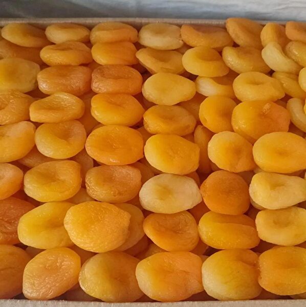 Türkiyem Organik Ürünler Meyve