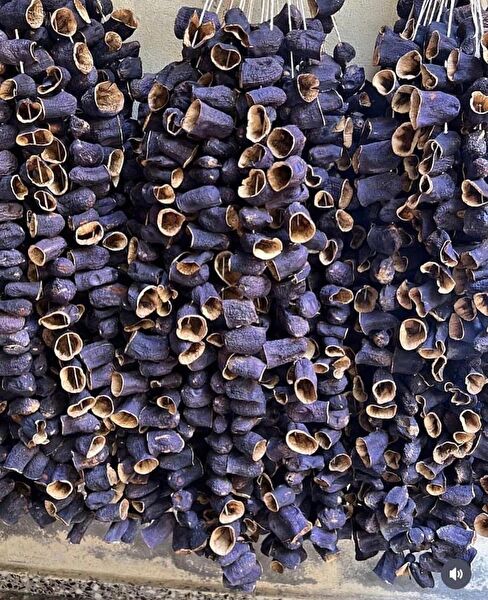 Türkiyem Organik Ürünler Sebze