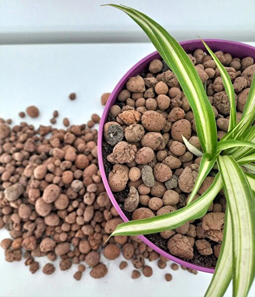 Asenya Torf ve Toprak