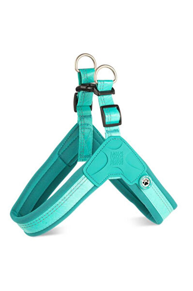 Molly Köpek Tasmaları