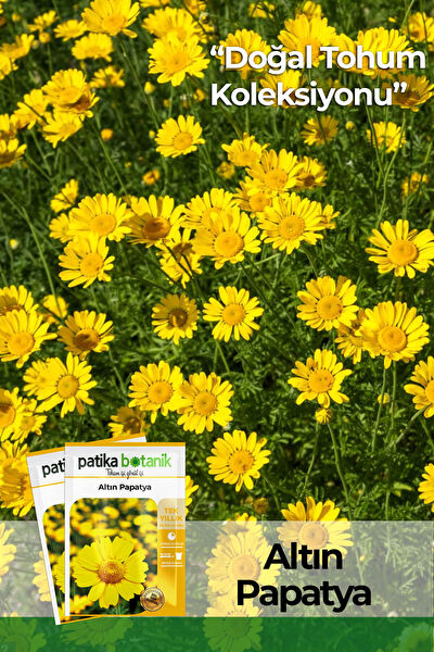 Patika Botanik Tohum