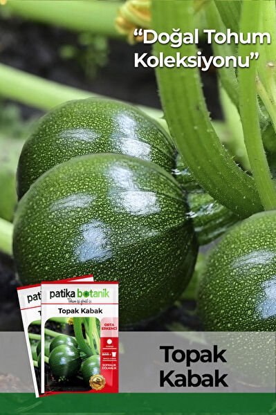 Patika Botanik Tohum