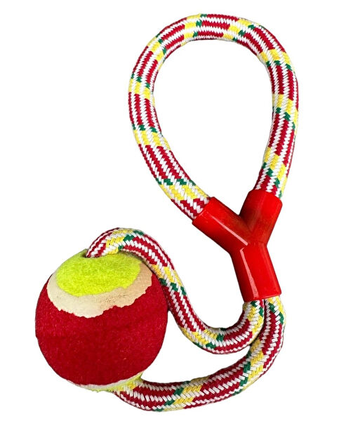 CARNIVAL LAND Köpek Oyuncakları