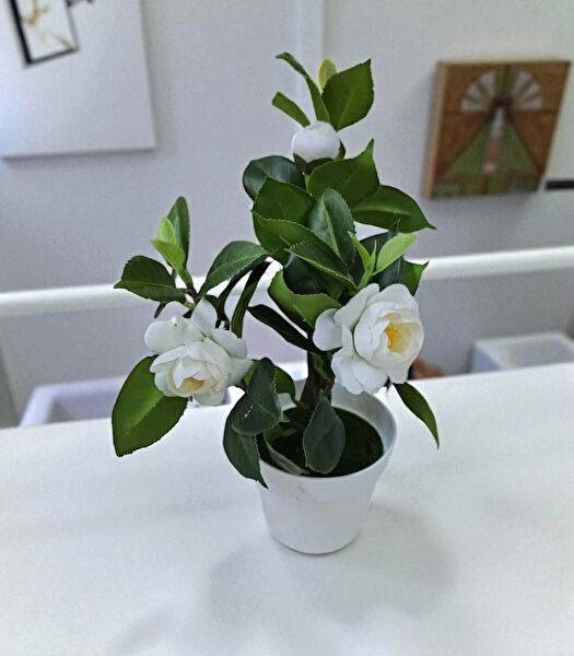 LSTRİ Yapay Çiçek, Meyve