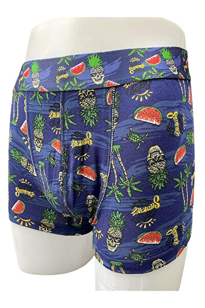 Ladytime Erkek Boxer, Slip, Külot