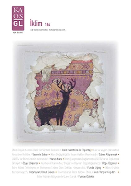 Kaos GL Dergisi Yayınları Dergiler